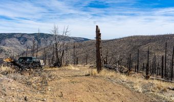 3600 Moondance Way, Bellvue, CO 80512