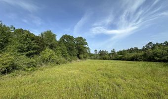 80 AC Old River Rd, Baker, FL 32531