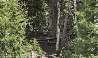 695 W Hunter Ridge Rd, Brian Head, UT 84719
