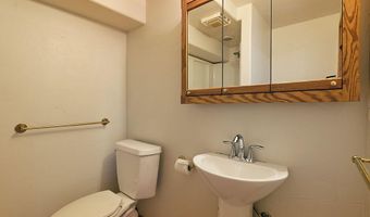 311 Midland Ave, Aspen, CO 81611