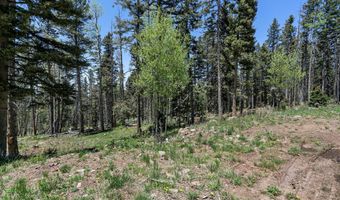 Lot 1267 Starlight Overlook, Angel Fire, NM 87710