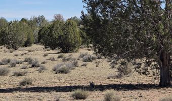 Tanner Rd lot 8B, Ash Fork, AZ 86320