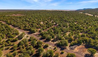 20 CR N8623, Concho, AZ 85924