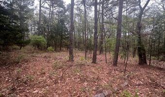 UNIT # 263B KIAMICHI WILDERNESS RD Unit # 63 63, Antlers, OK 74523
