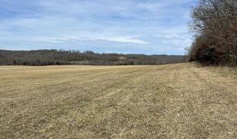 Tract 1 County Road 14-534, Ava, MO 65608