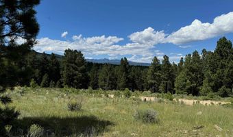 Lot 459 San Mateo, Angel Fire, NM 87710