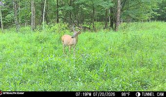 694 A Tunnel Ridge Rd, Argillite, KY 41121