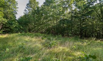 Private Drive Off Of Fr 1245, Aurora, MO 65605