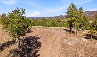 N2147, Alpine, AZ 85920