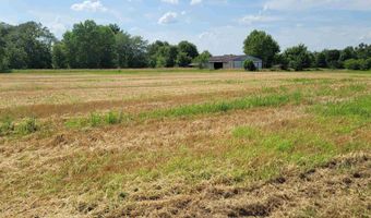 3993 GREENRIDGE Rd, Alma, IL 62807