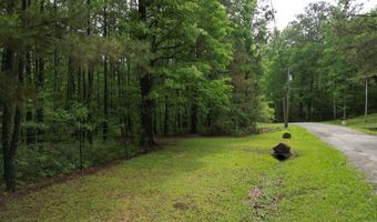 536 COUNTY ROAD 3902, Arley, AL 35541