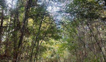 644 Ash-Harrel Loop, Abbeville, GA 31001