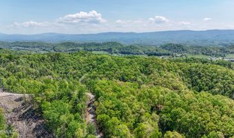 Tbd Green Springs Road, Abingdon, VA 24211