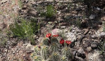 179 Arizona Rd, Ash Fork, AZ 86320