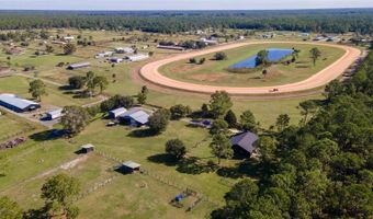 1325 NIATROSS St, Astor, FL 32102