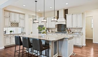 25801 YELLOW BIRCH Ct, Aldie, VA 20105