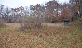 3366 Ludlow Rd, Albion, MI 49224