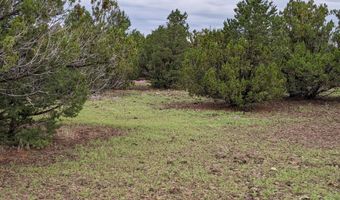 Lot 30 N Ricks Road, Vernon, AZ 85940