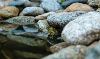 4375 TAYLOR CREEK Rd, Afton, VA 22920