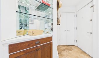 915 E Hopkins Ave 4, Aspen, CO 81611