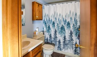 11 Fox Run 11, Bartlett, NH 03812