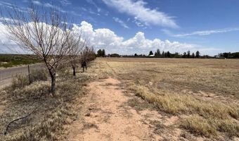 985 W Wicker Road Rd, Chaparral, NM 88081