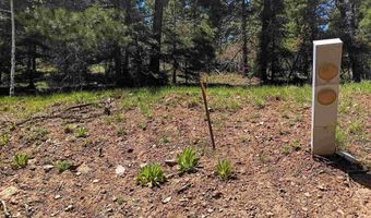 Lot 1380 Santo Domingo Tail, Angel Fire, NM 87710