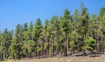 Hwy 119, Black Hawk, CO 80422
