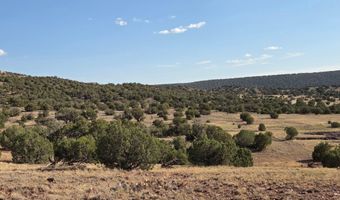 Pinon Valley Ranch lot 9, Concho, AZ 85924