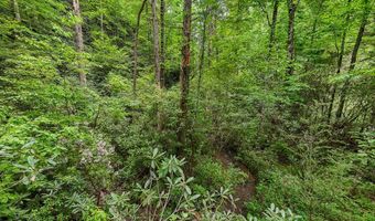 399 Shell Stand Rd, Almond, NC 28702