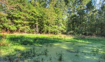 Anding Oil City Road, Bentonia, MS 39040