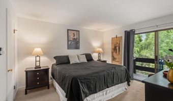 824 E Hopkins Ave 102 and 202, Aspen, CO 81611