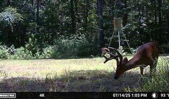 7706 FM 851 S, Alto, TX 75925