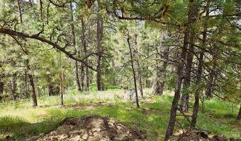 Lot 25 Pine Ridge Road, Boise, ID 83716
