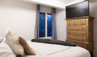 1039 E Cooper Ave 16A, Aspen, CO 81611