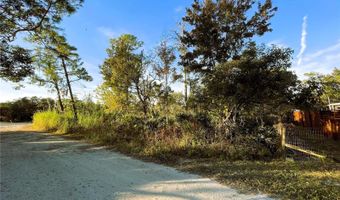 0 SR-19, Altoona, FL 32702