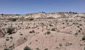 210-06 005 & 206-51-136, Chambers, AZ 86502