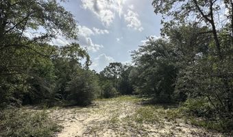 187 Ac Old River Rd, Baker, FL 32531