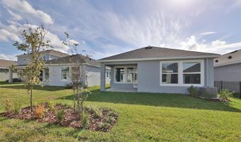 6042 GOLDEN NETTLE Dr, Apollo Beach, FL 33572