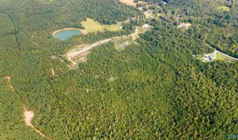 10675 29 Acres Shoal Creek Rd, Ashville, AL 35953