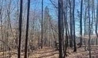 Flint Ridge Road lot 6, Albemarle, NC 28001