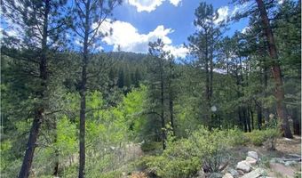 279 Switzerland Park Rd, Boulder, CO 80302