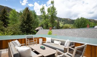 1006 E Cooper Ave, Aspen, CO 81611