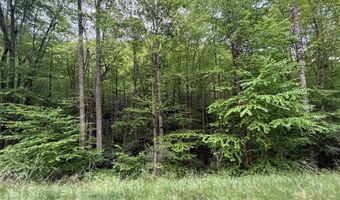 2 Lots Warrior Way Road Lot 11 & 15, Andrews, NC 28781