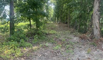 Tract 2 Mill Creek Rd, Andersonville, TN 37705