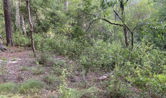 Putnam Avenue lot 30, Alford, FL 32420
