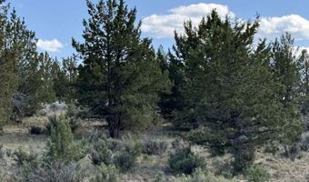 TL 300 HWY 140, Beatty, OR 97621
