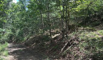 Lot 24 MT SNOW COURT, Basye, VA 22810
