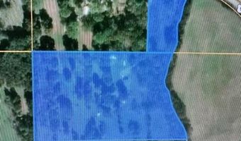 23706 Us 160, Alton, MO 65606