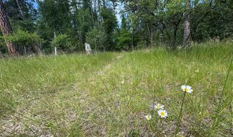 13643 Sundance Trl, Bigfork, MT 59911